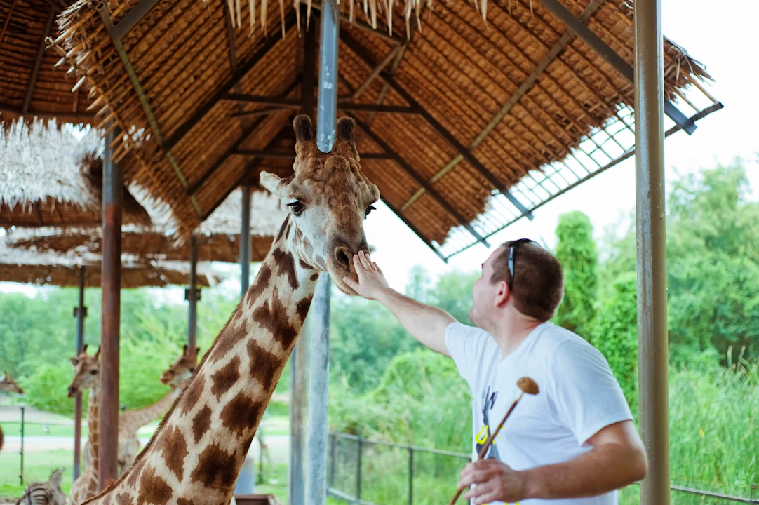 Tickets to Safari World & Marine Park with Buffet Lunch & Round-Trip Transfers Location